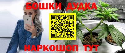 стаф Бийск