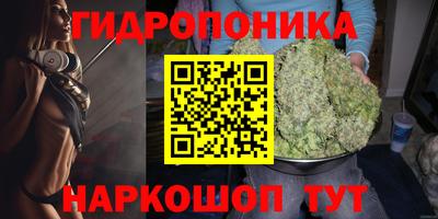 прущие грибы Беслан