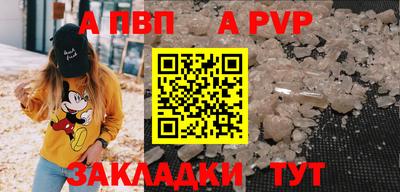 стаф Бийск
