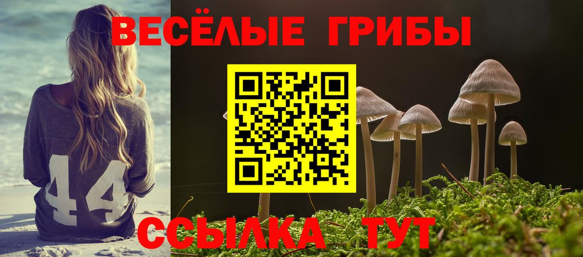 Заводоуковск  закладки  Псилоцибиновые грибы Magic Shrooms  Вход с VPN  Псилоцибиновые грибы прущие грибы 